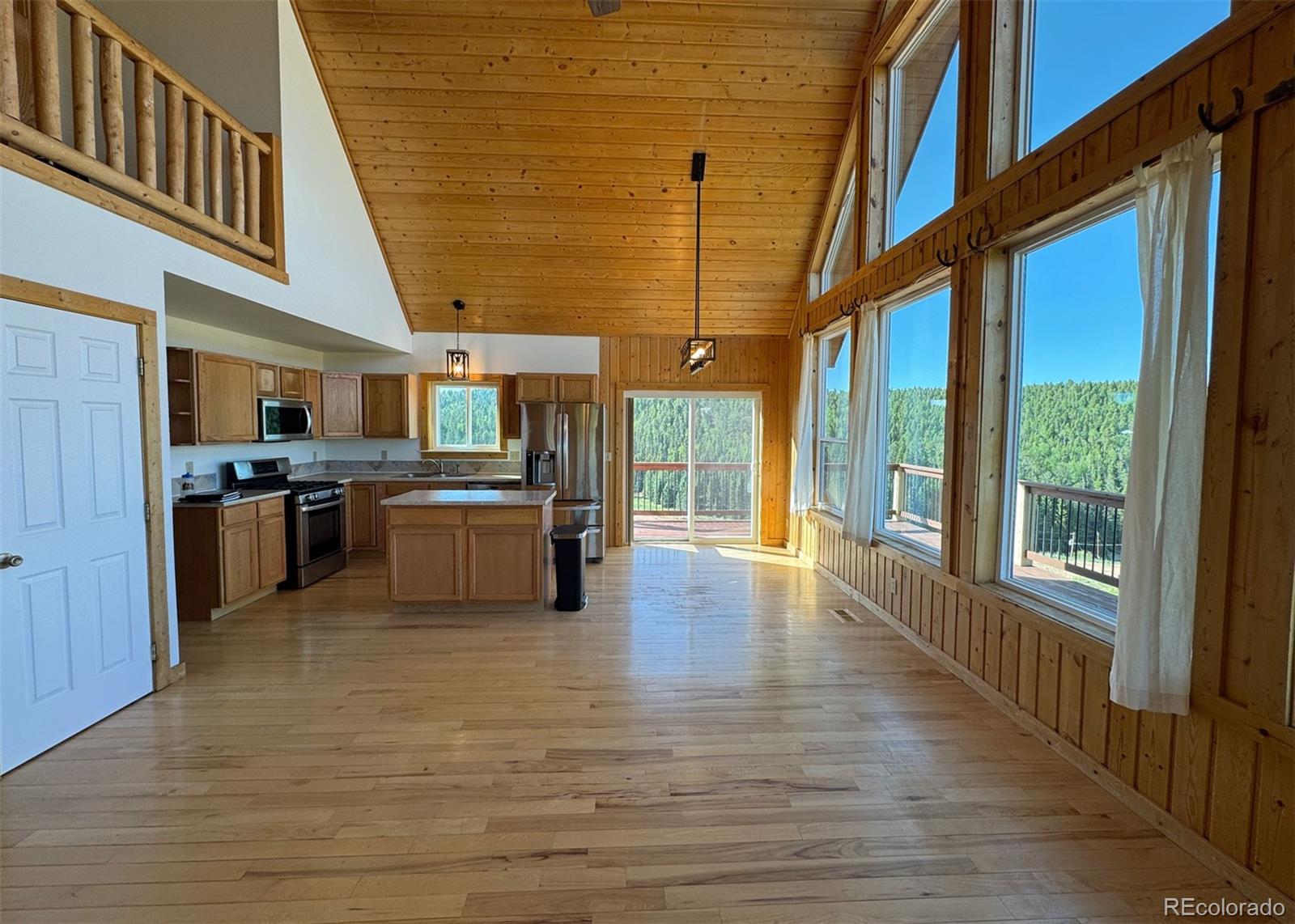 MLS Image #11 for 61  muskrat lake view,divide, Colorado