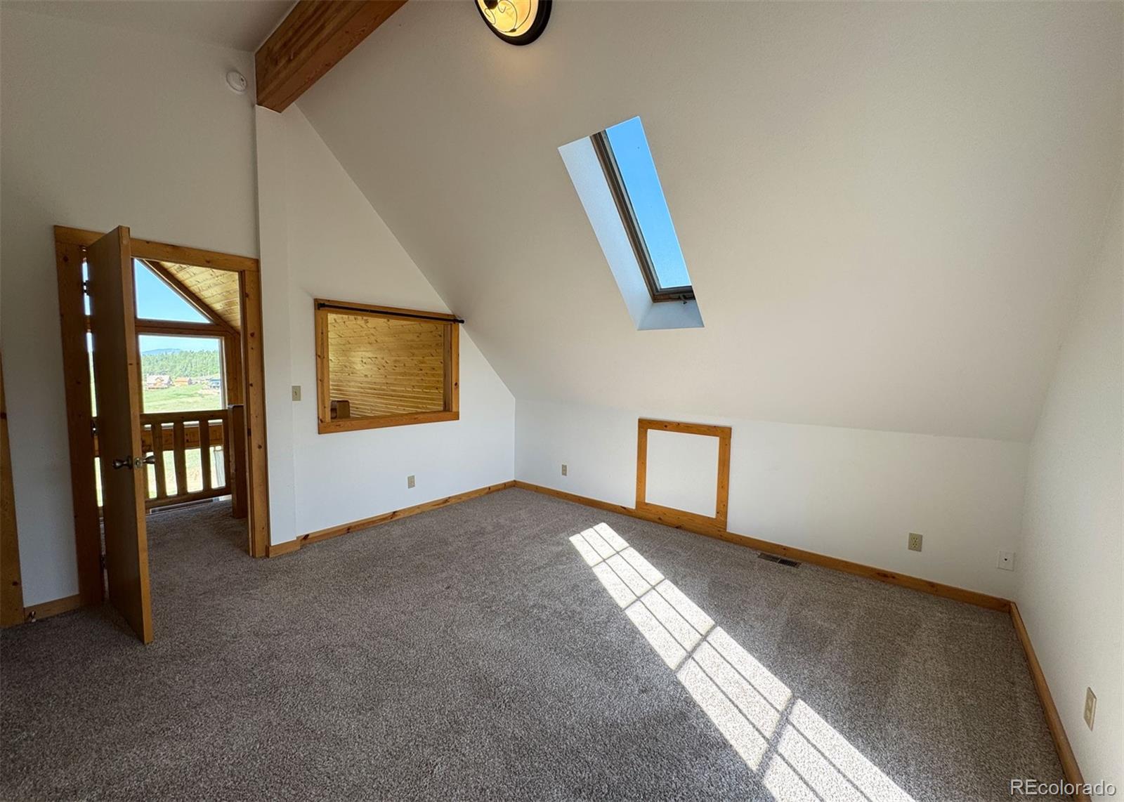 MLS Image #13 for 61  muskrat lake view,divide, Colorado