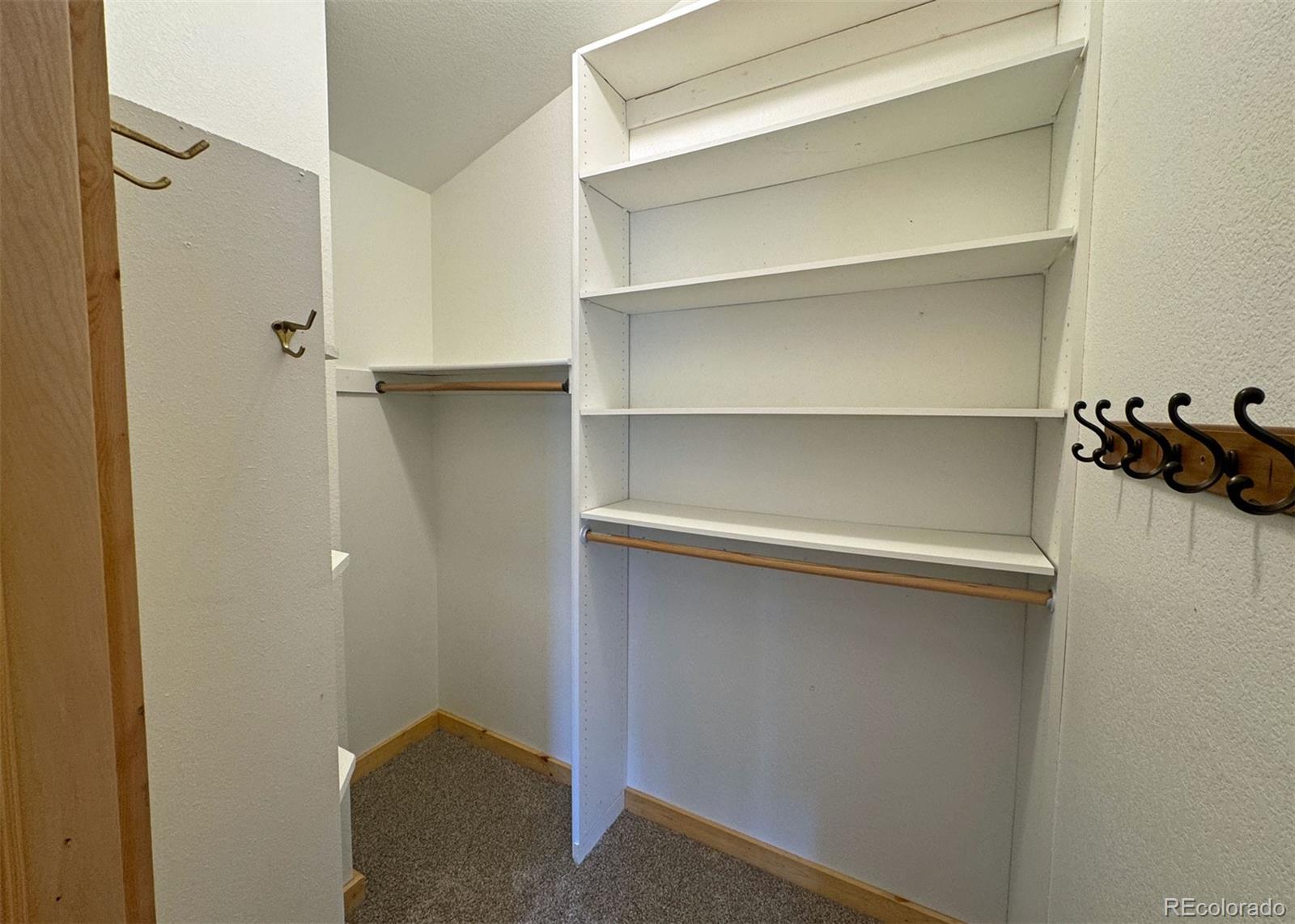 MLS Image #15 for 61  muskrat lake view,divide, Colorado