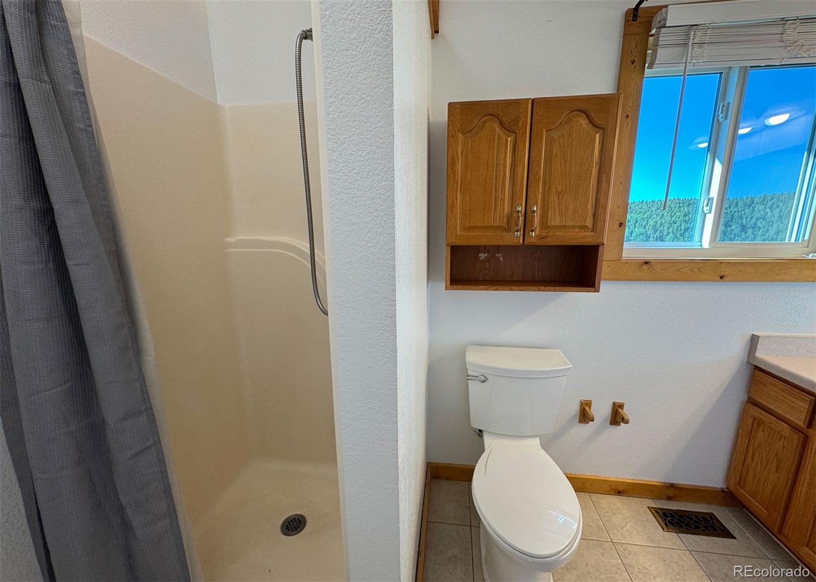 MLS Image #19 for 61  muskrat lake view,divide, Colorado