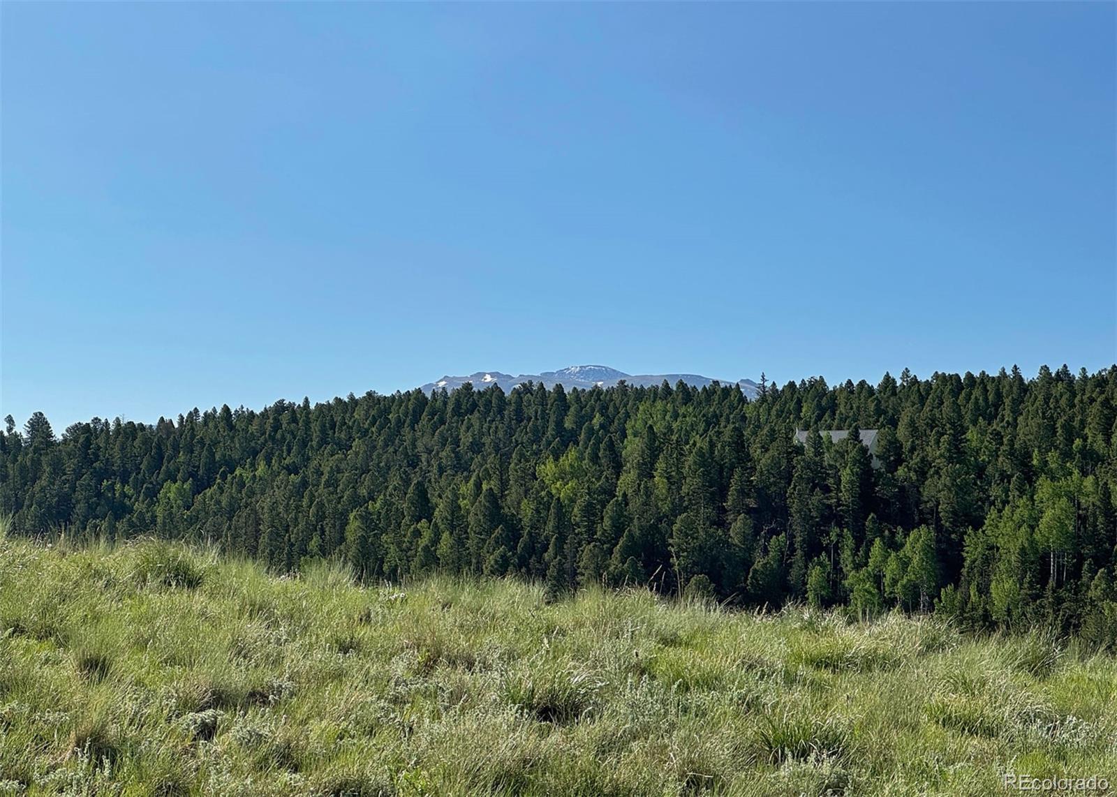 MLS Image #2 for 61  muskrat lake view,divide, Colorado