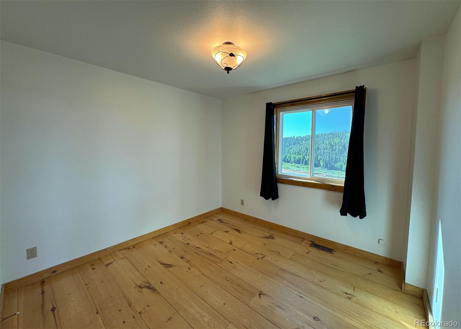 MLS Image #25 for 61  muskrat lake view,divide, Colorado
