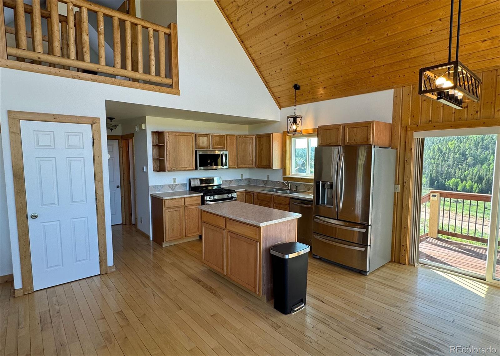 MLS Image #3 for 61  muskrat lake view,divide, Colorado