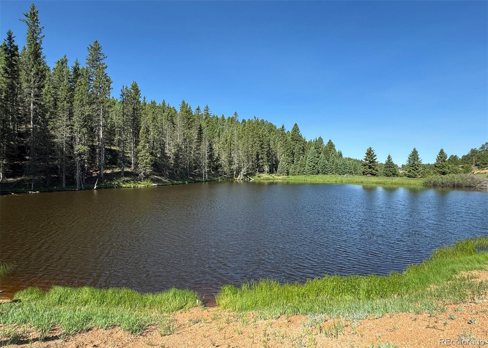 MLS Image #44 for 61  muskrat lake view,divide, Colorado