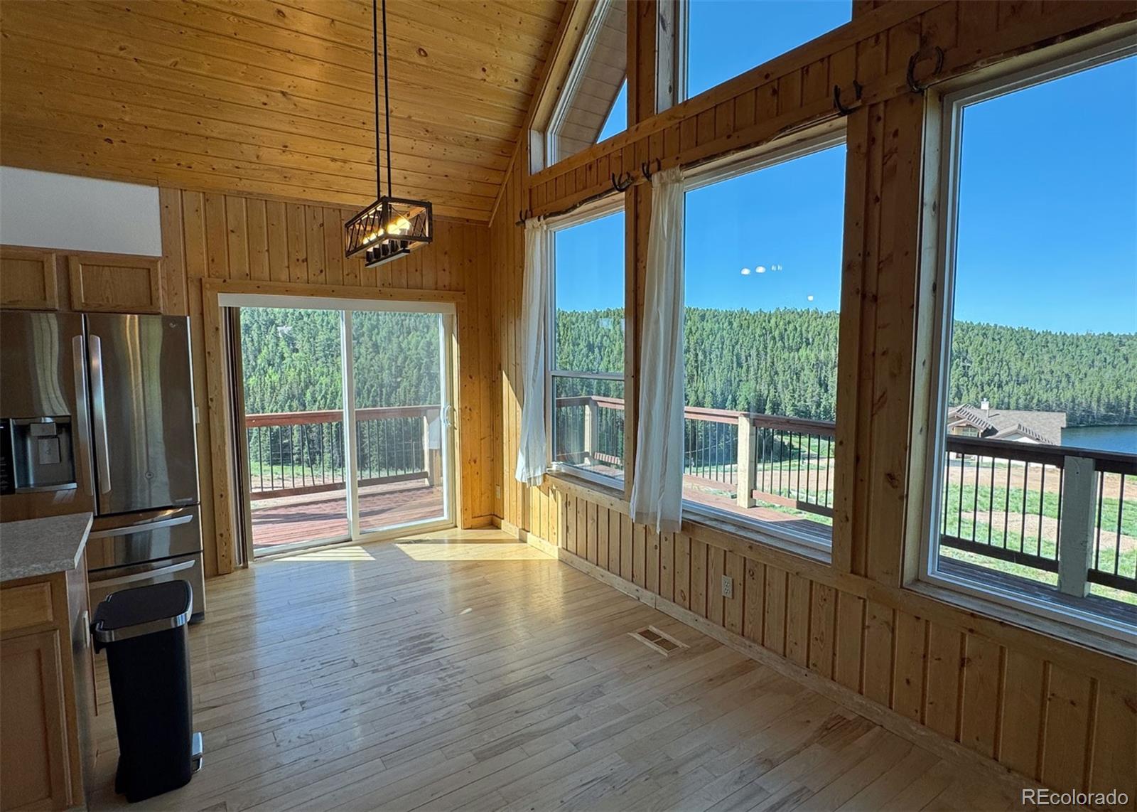 MLS Image #8 for 61  muskrat lake view,divide, Colorado