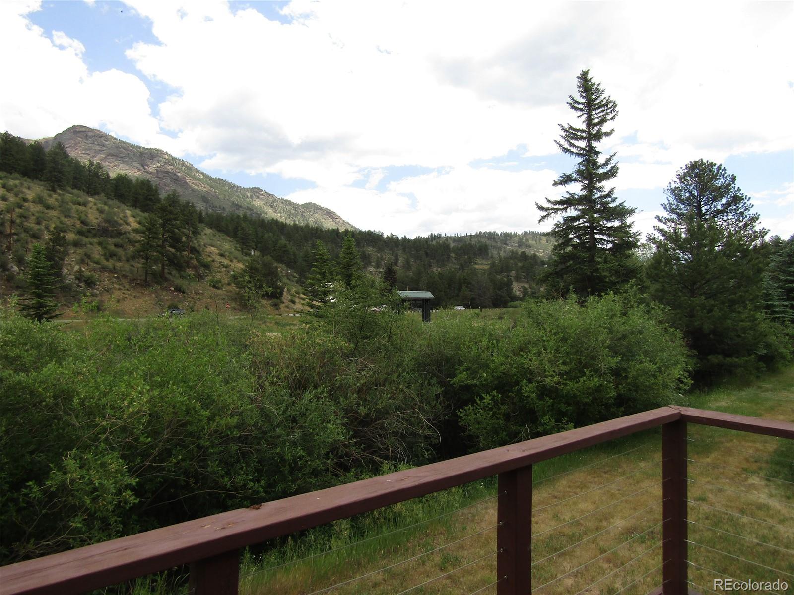 MLS Image #16 for 57920  us highway 285 ,bailey, Colorado