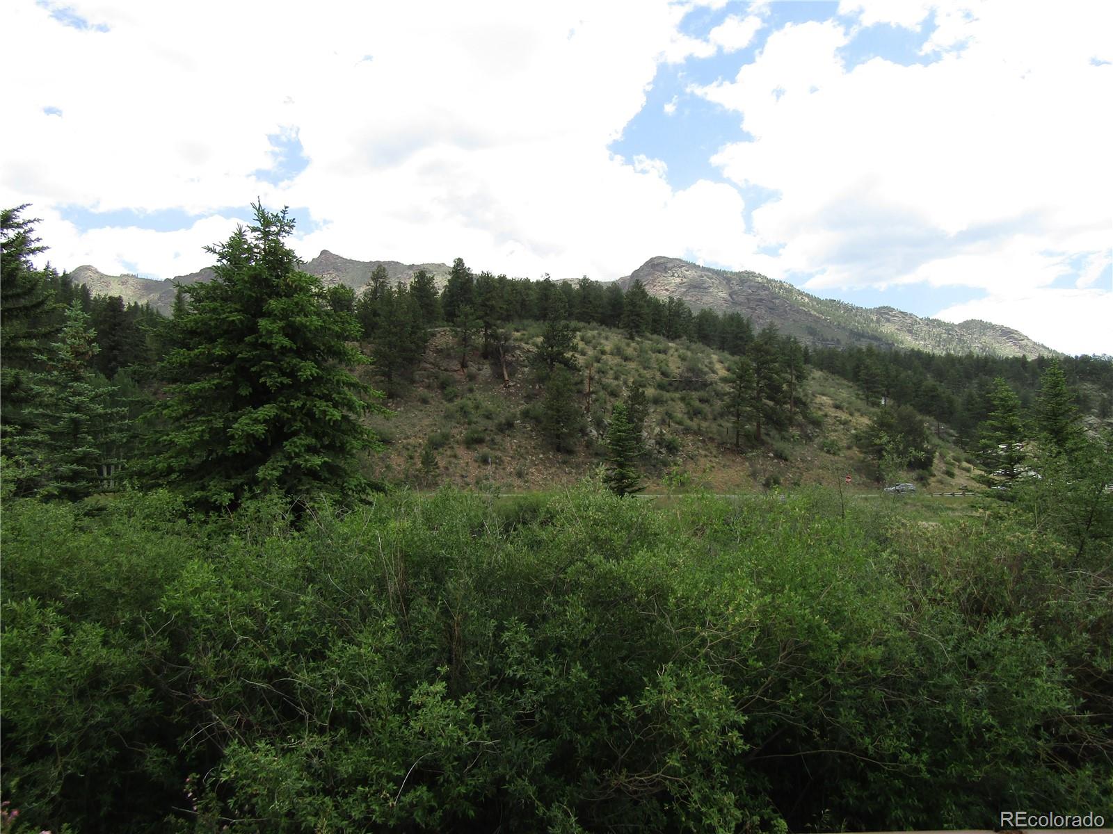 MLS Image #17 for 57920  us highway 285 ,bailey, Colorado