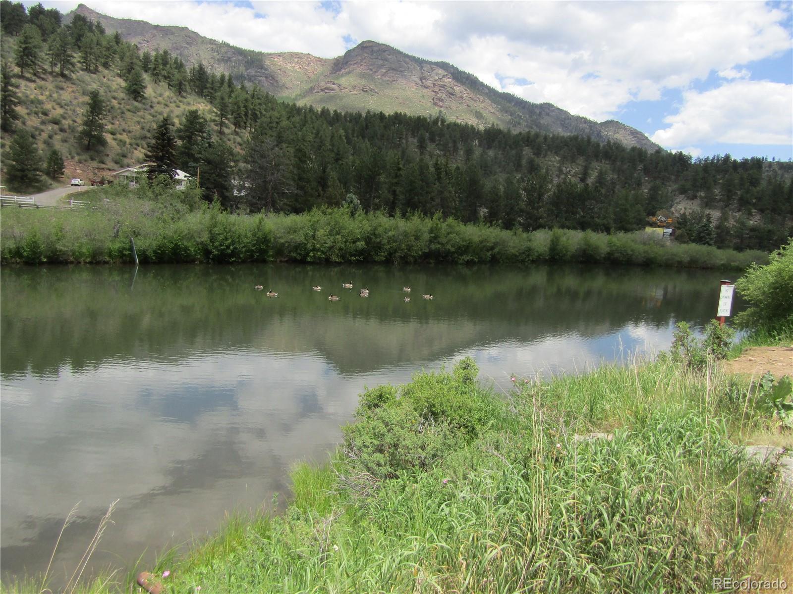 MLS Image #26 for 57920  us highway 285 ,bailey, Colorado