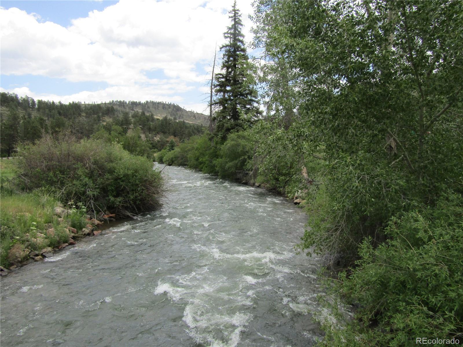 MLS Image #5 for 57920  us highway 285 ,bailey, Colorado