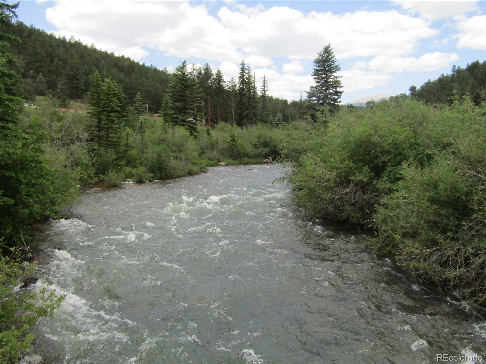 MLS Image #6 for 57920  us highway 285 ,bailey, Colorado