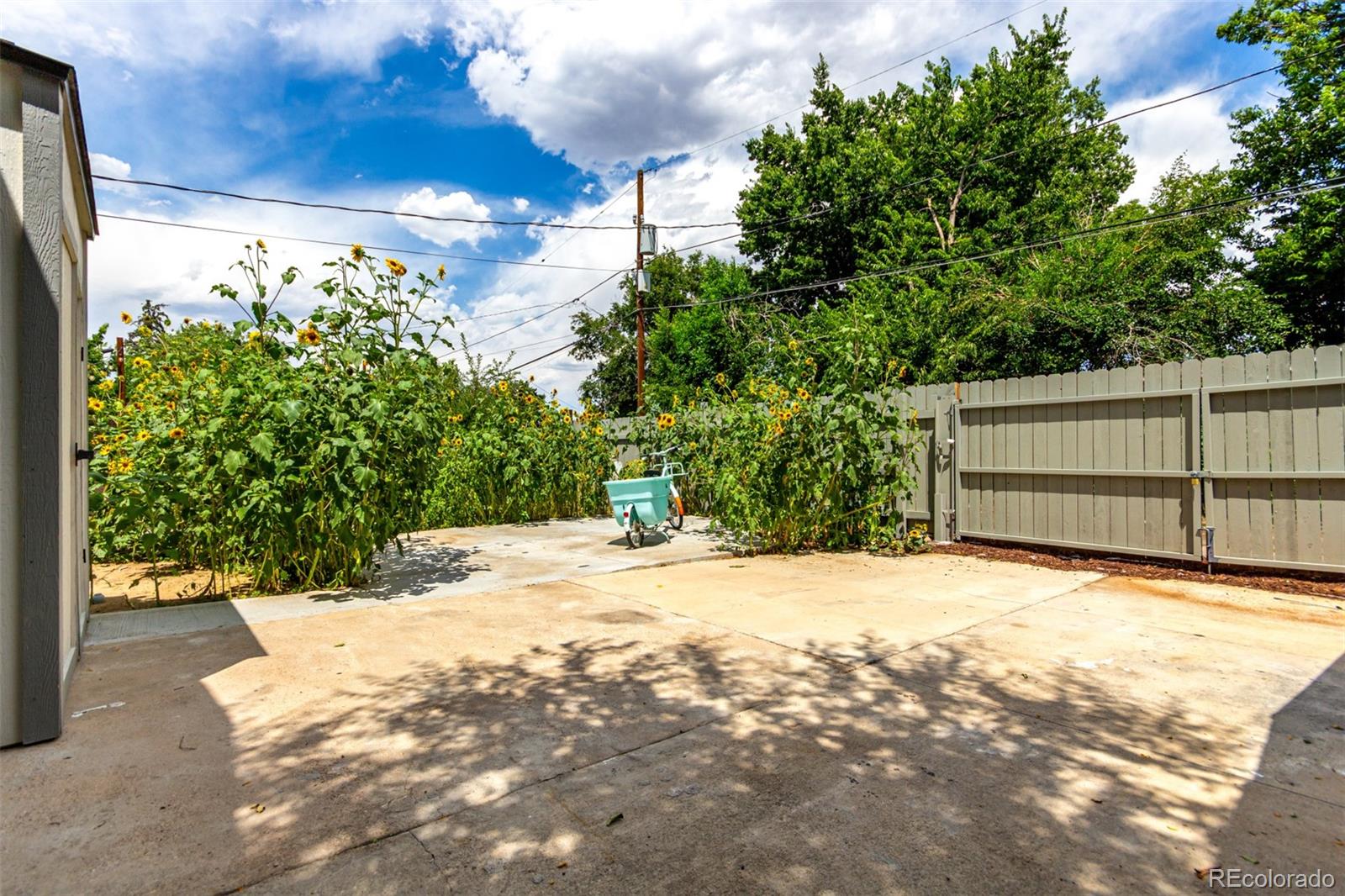 MLS Image #41 for 1946  xenia street,denver, Colorado