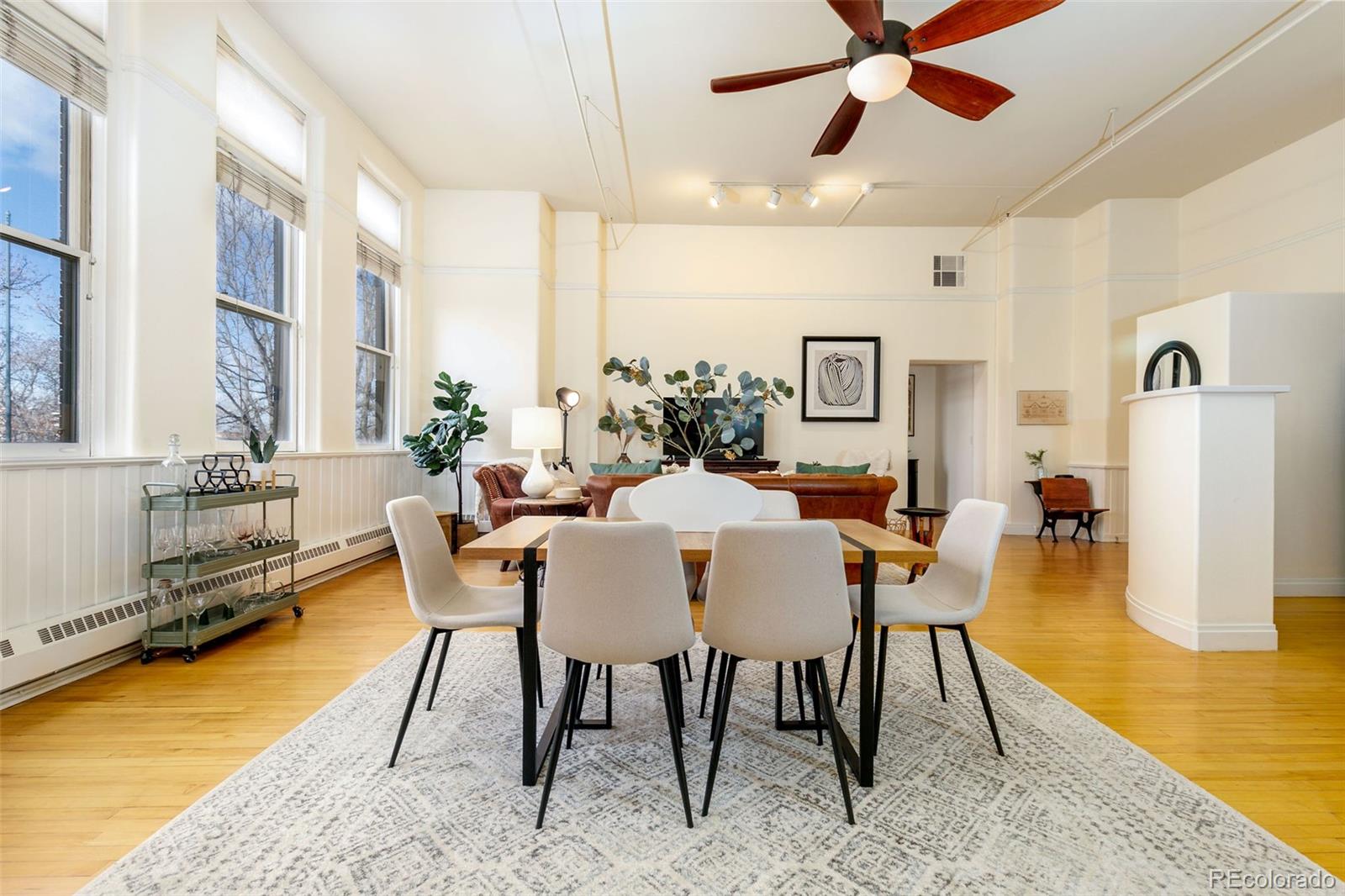 MLS Image #6 for 1140  columbine street,denver, Colorado