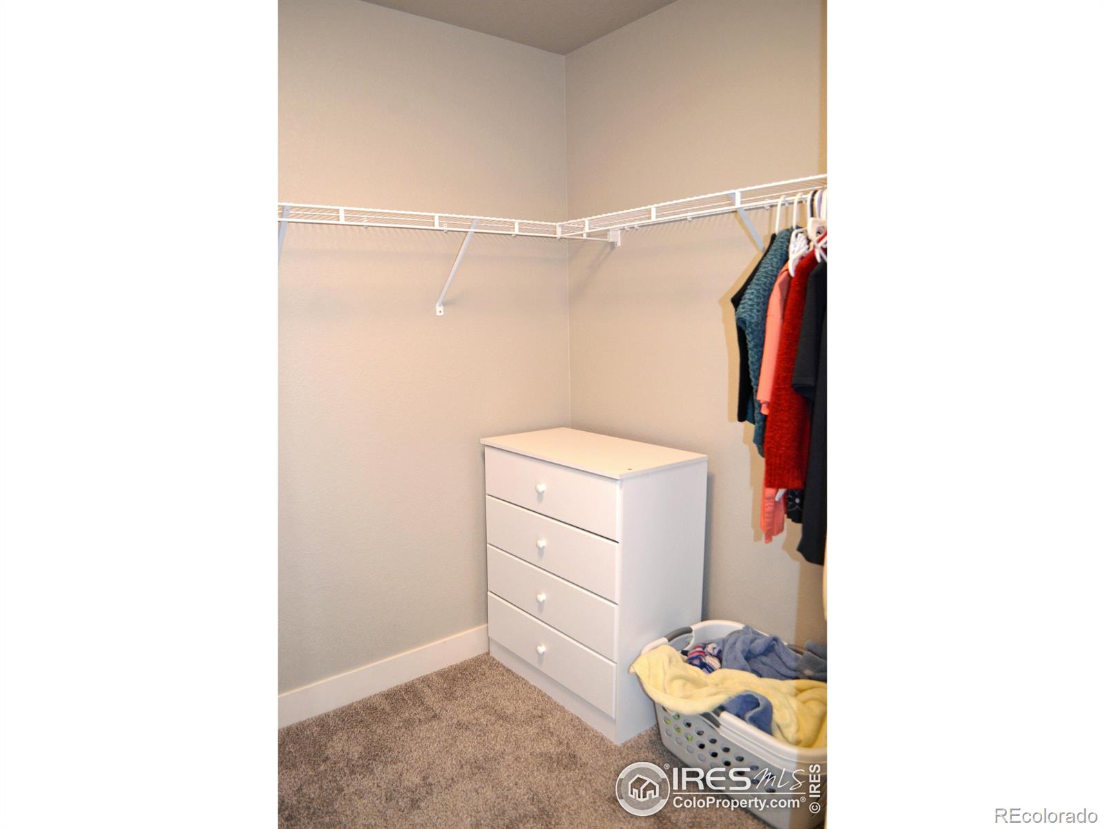 MLS Image #24 for 115  anders court,loveland, Colorado