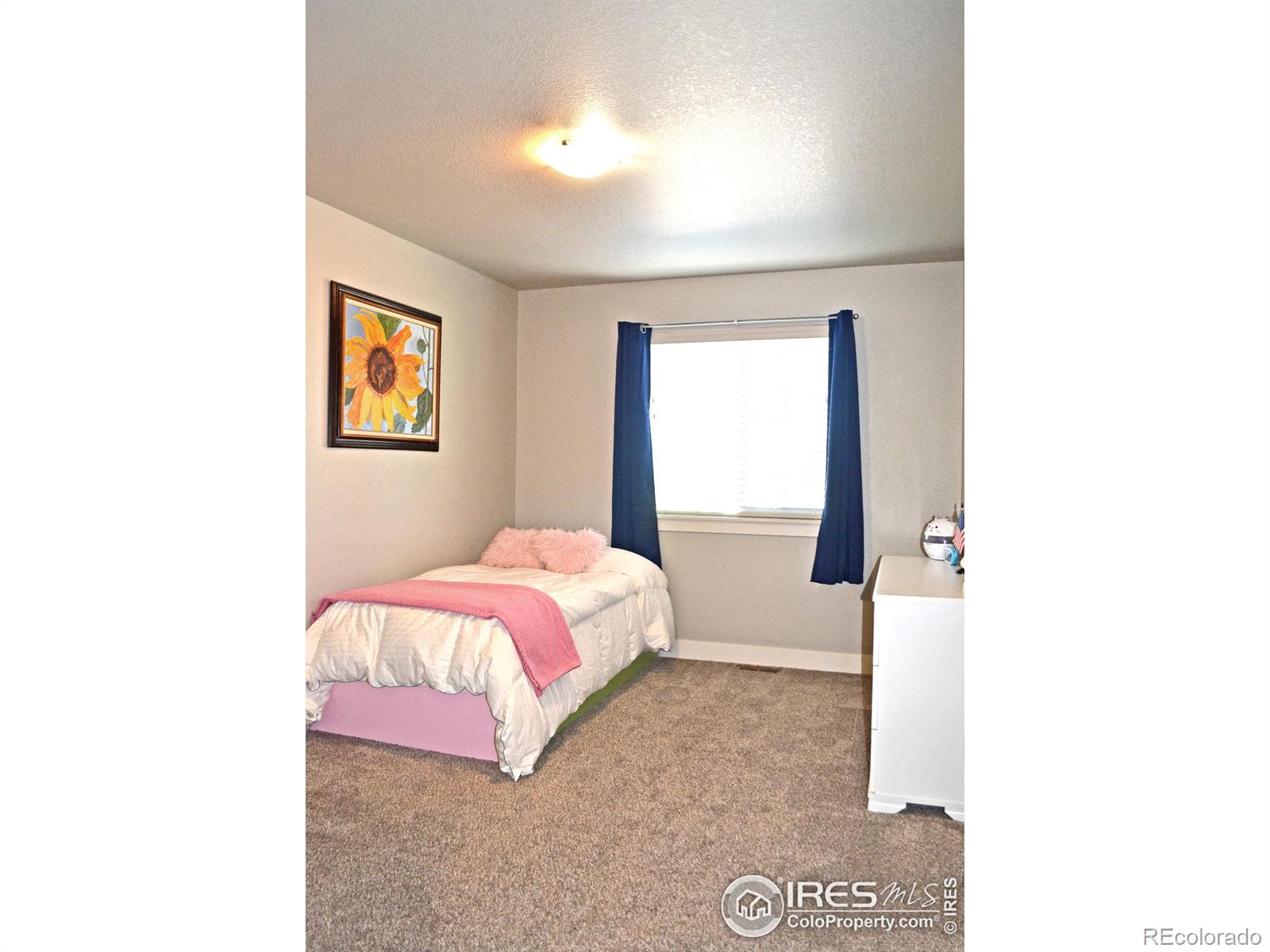 MLS Image #28 for 115  anders court,loveland, Colorado