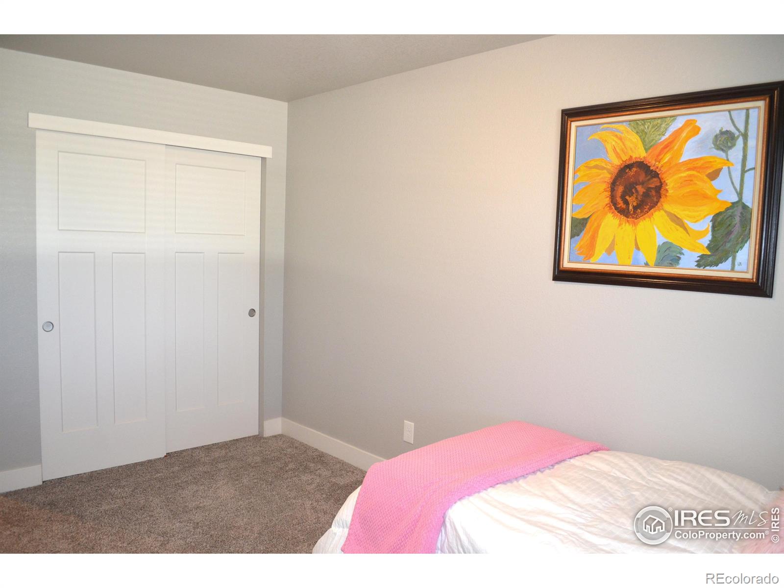 MLS Image #29 for 115  anders court,loveland, Colorado