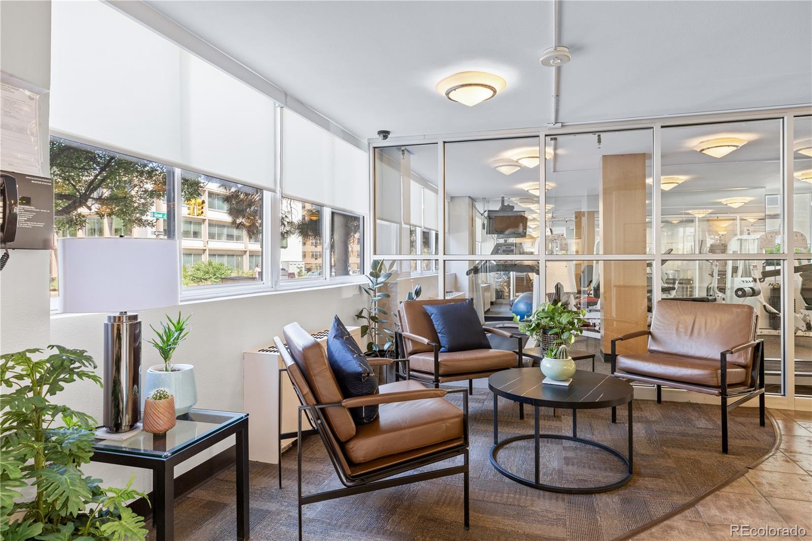 MLS Image #4 for 1196 n grant street,denver, Colorado