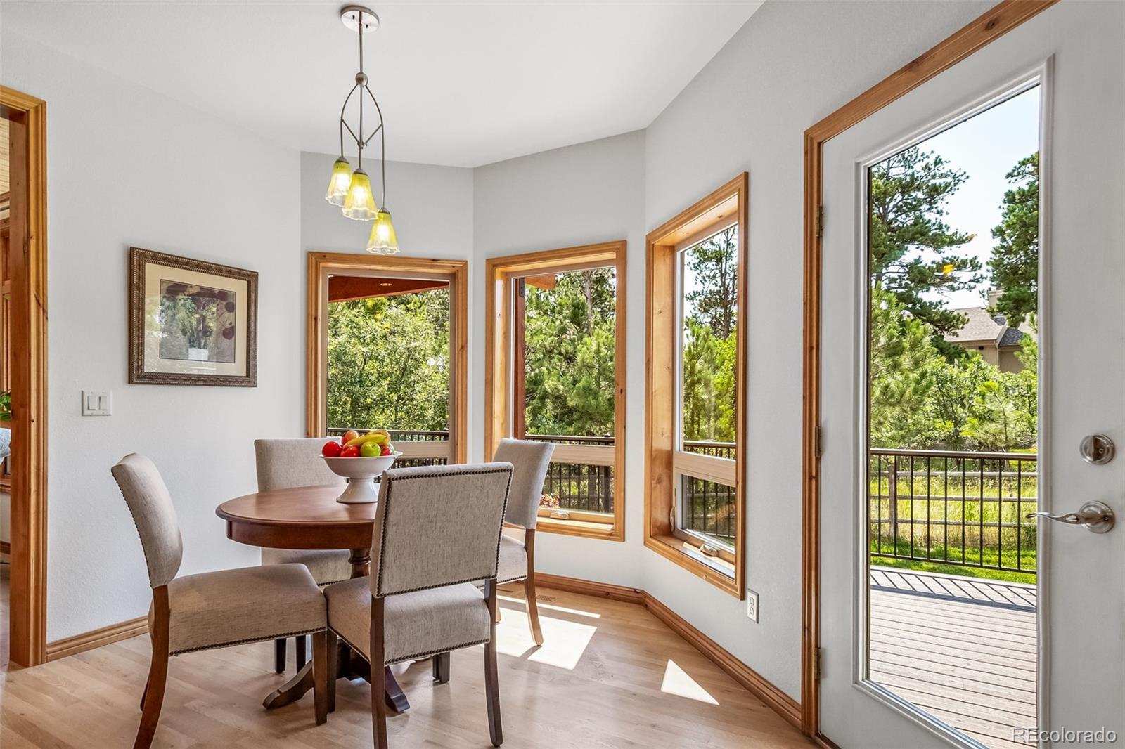 MLS Image #20 for 7440  cameron circle,larkspur, Colorado
