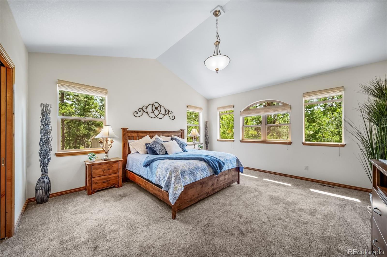 MLS Image #29 for 7440  cameron circle,larkspur, Colorado