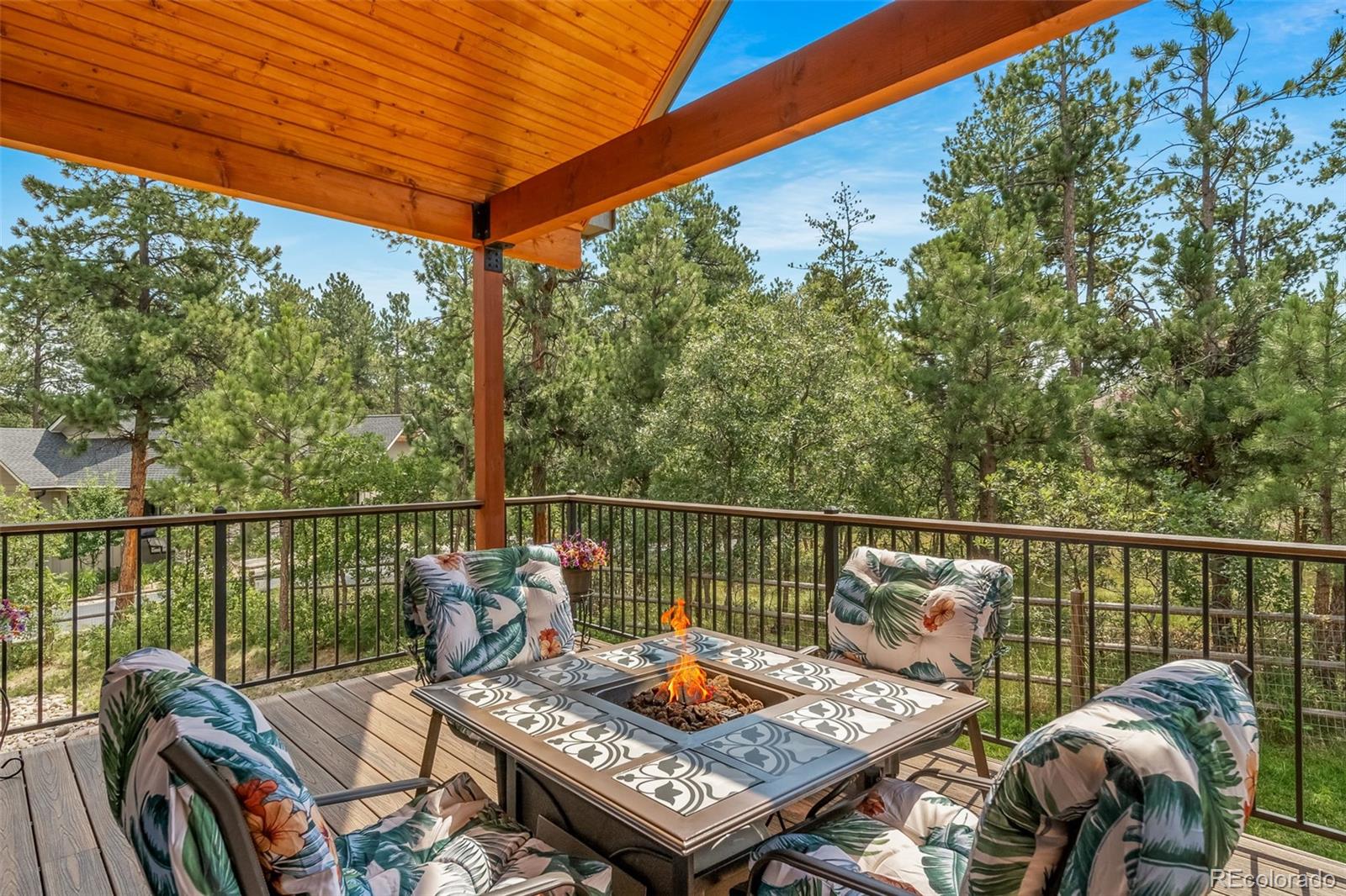 MLS Image #45 for 7440  cameron circle,larkspur, Colorado