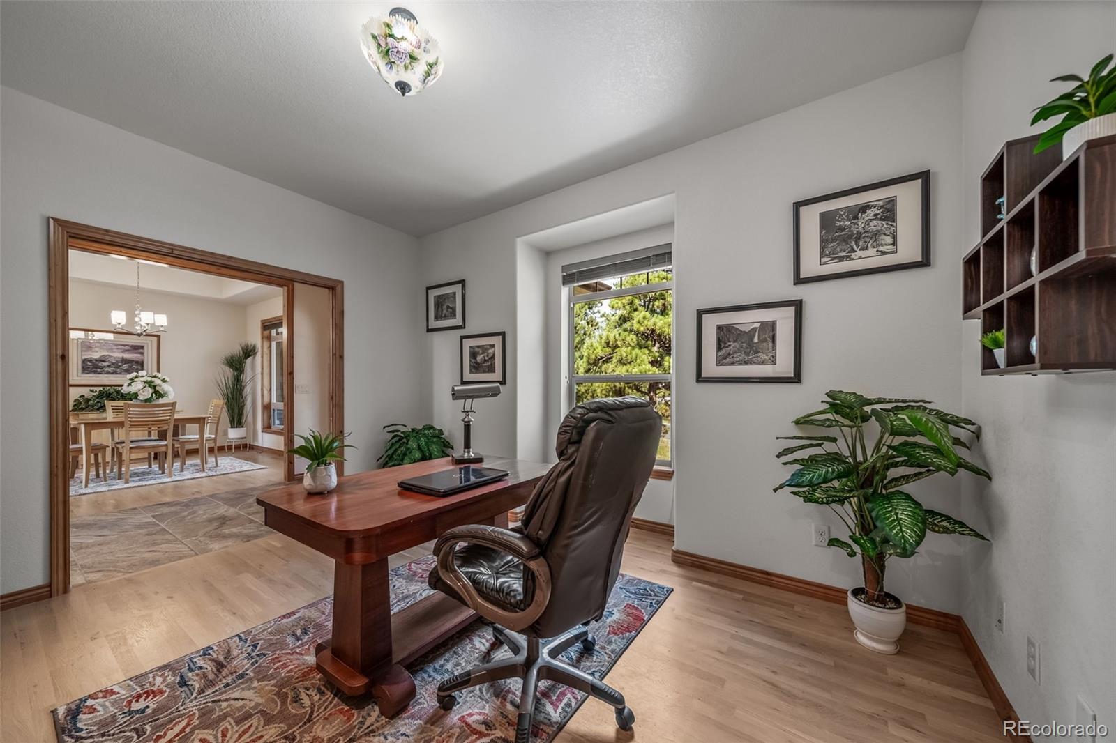 MLS Image #5 for 7440  cameron circle,larkspur, Colorado