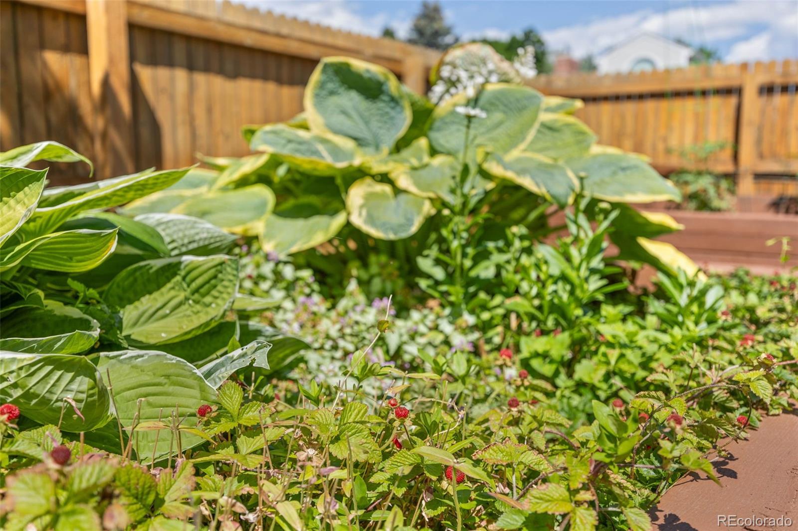 MLS Image #27 for 5237 s cody street,littleton, Colorado