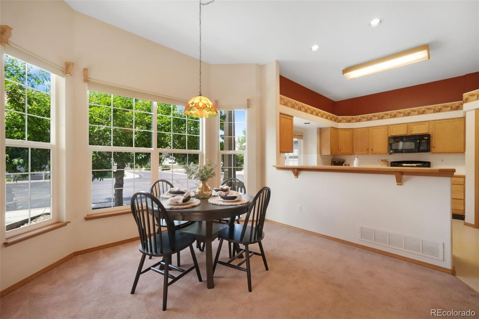 MLS Image #10 for 4721  rowell point,colorado springs, Colorado