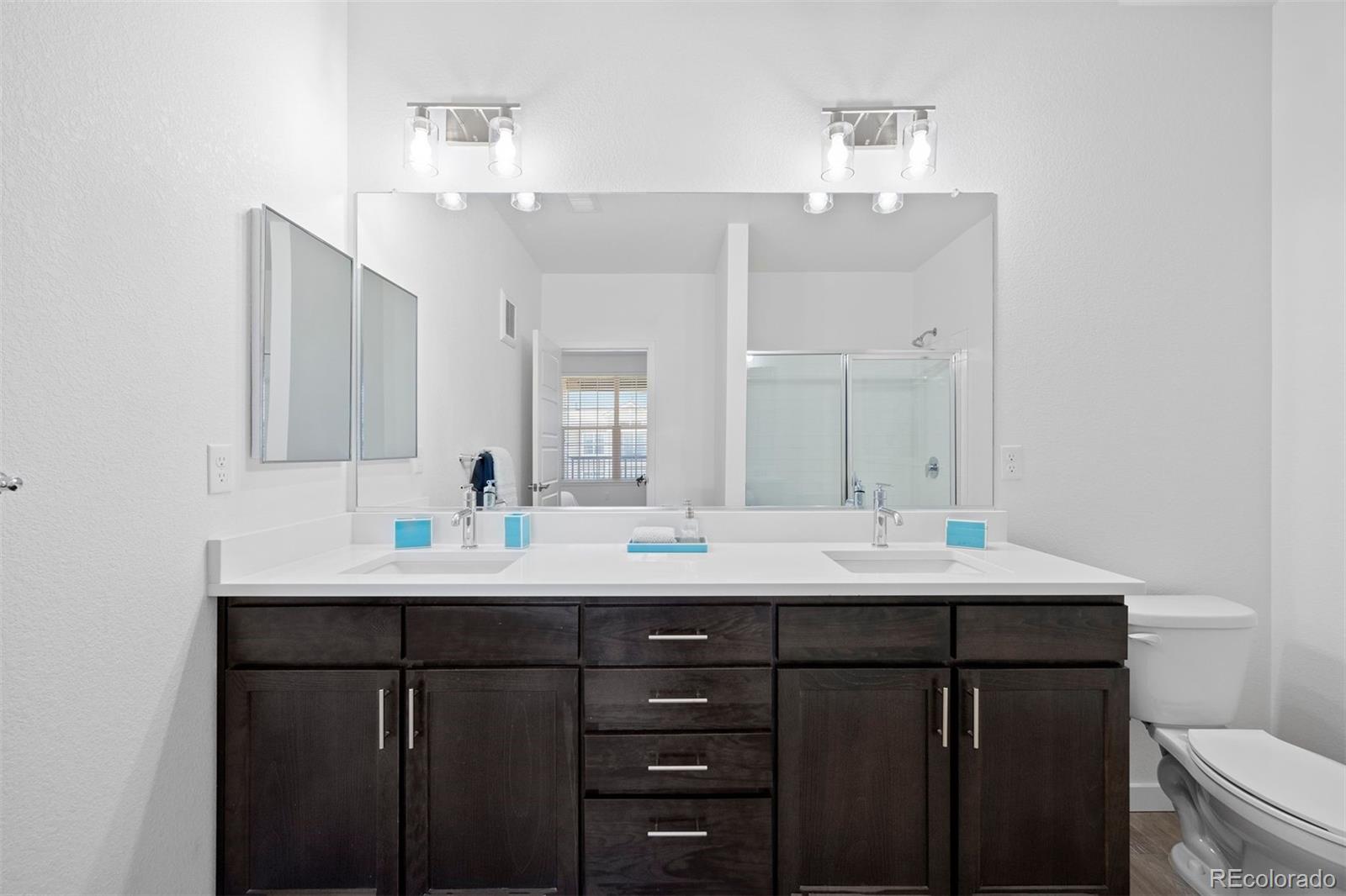 MLS Image #6 for 17353  wilde avenue,parker, Colorado