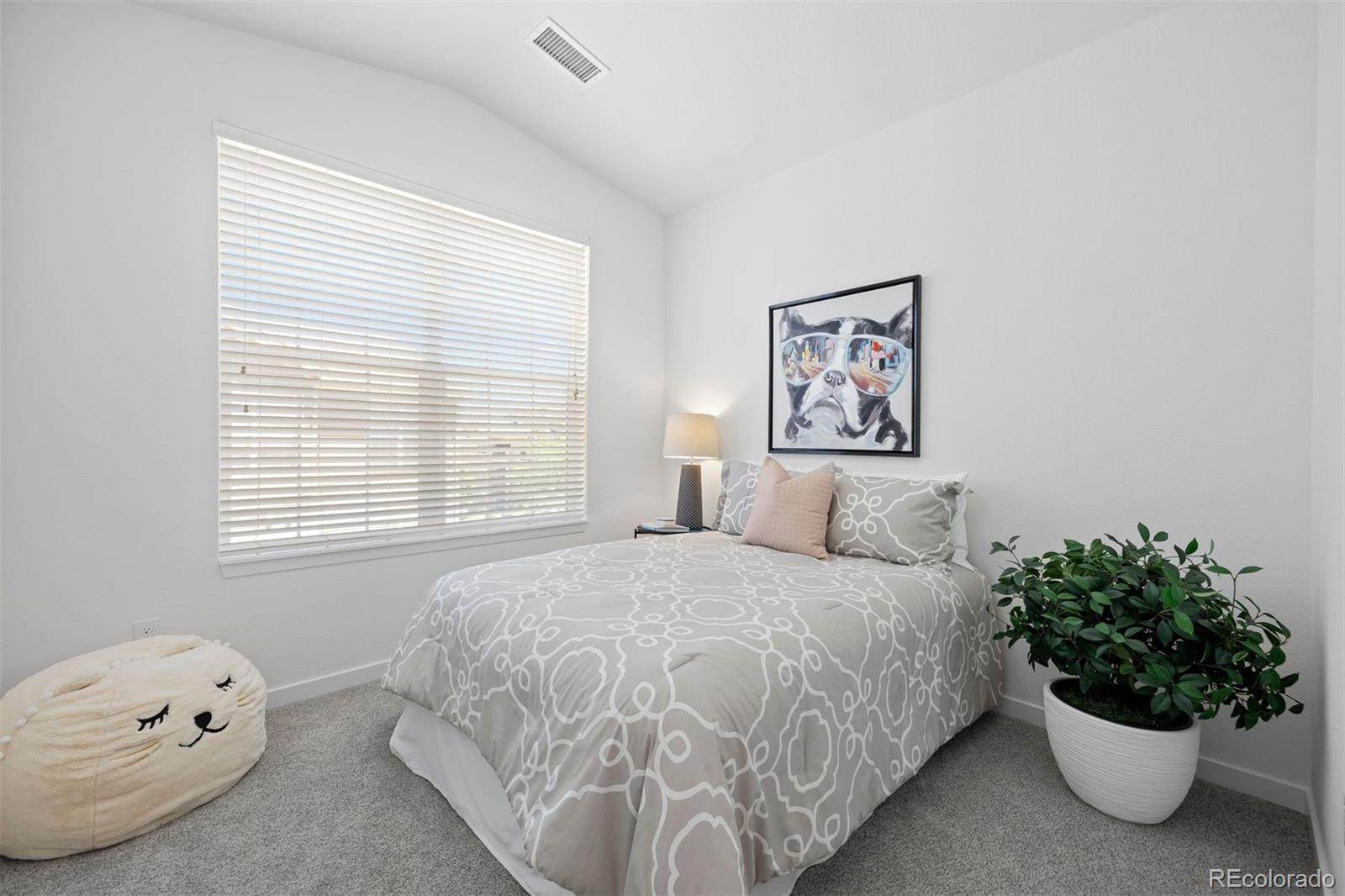 MLS Image #8 for 17353  wilde avenue,parker, Colorado