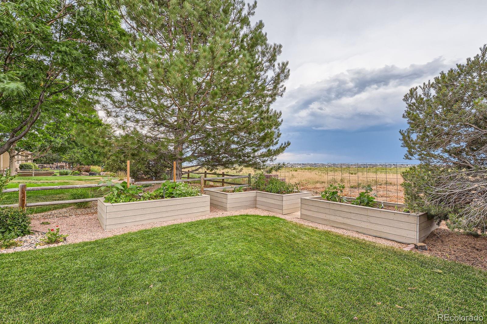 MLS Image #49 for 1949  kaplan drive,windsor, Colorado