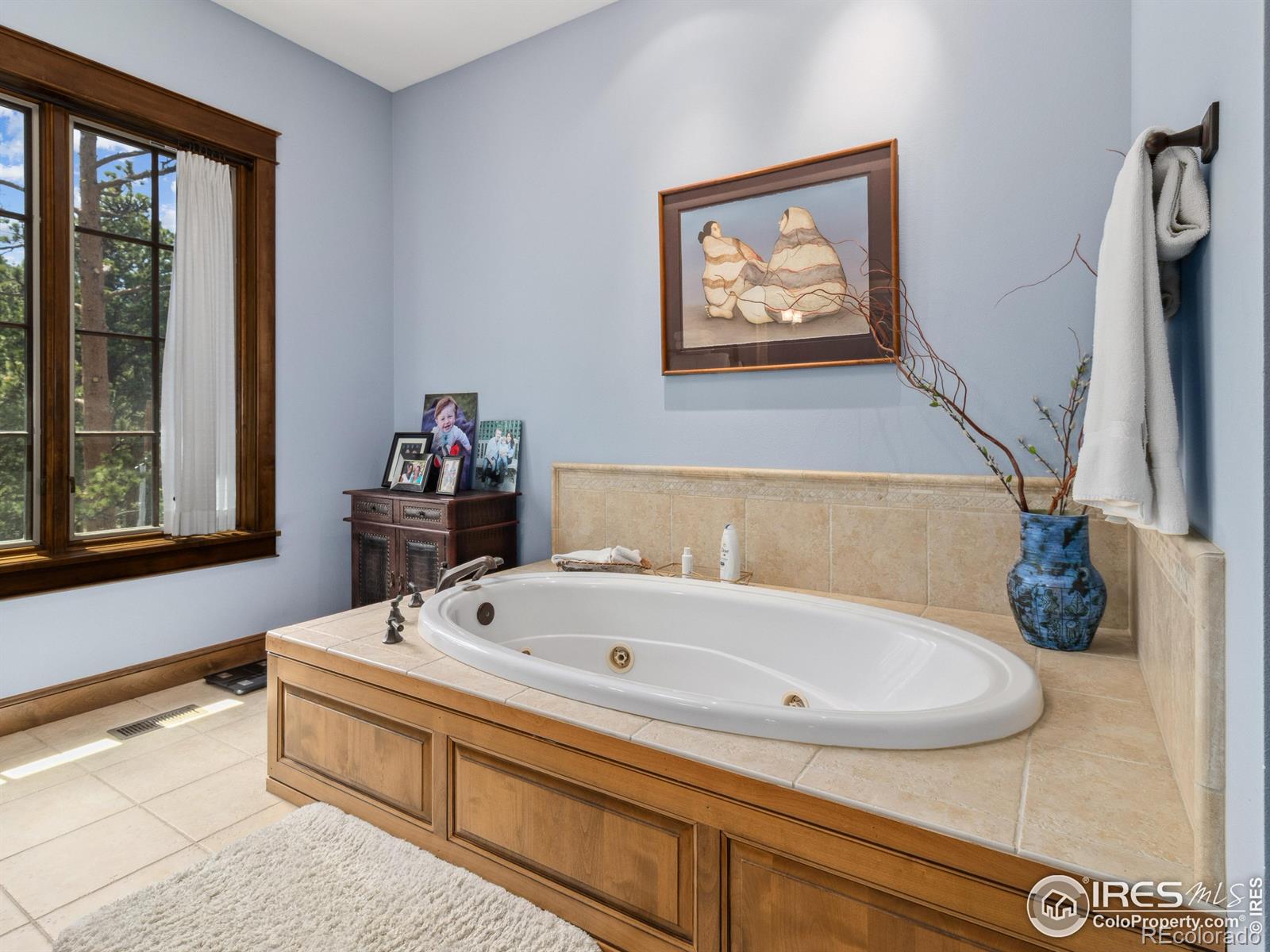 MLS Image #25 for 550  ouray drive,estes park, Colorado