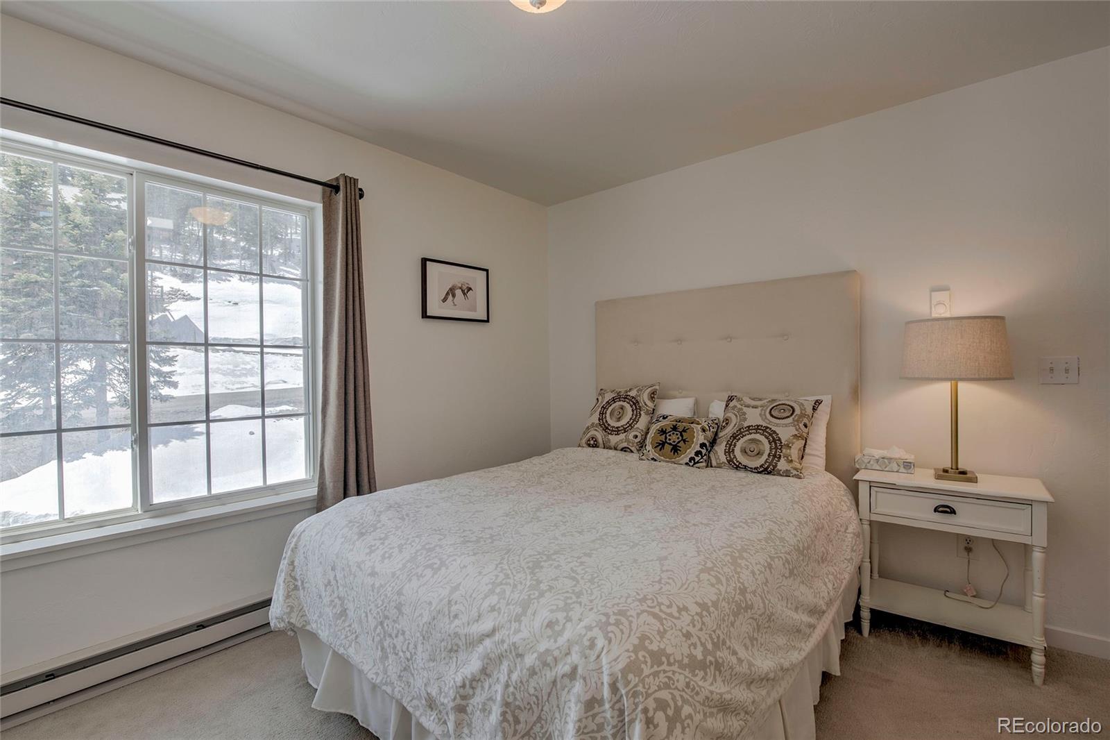 MLS Image #30 for 532  kimmes lane,breckenridge, Colorado