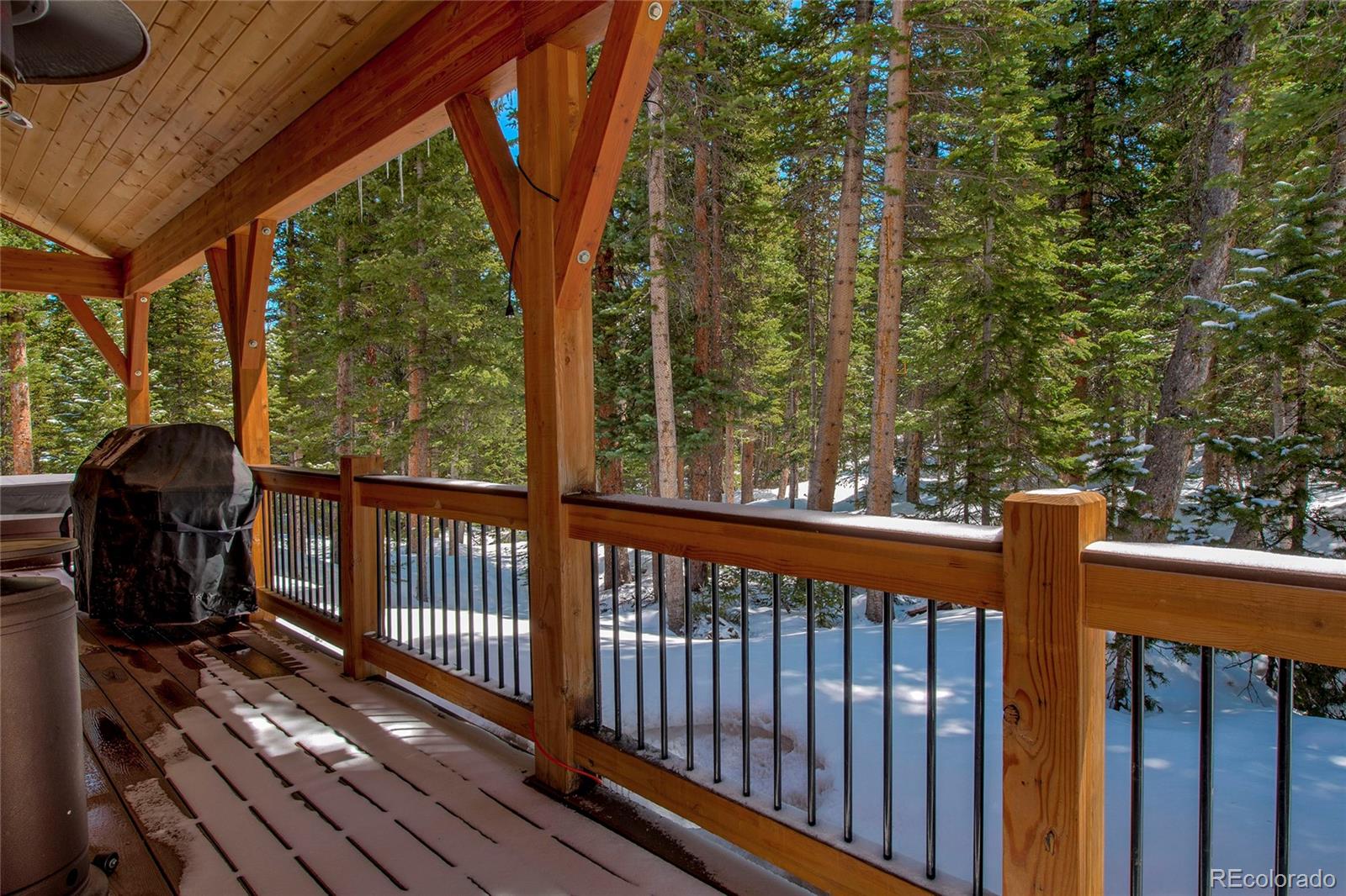MLS Image #41 for 532  kimmes lane,breckenridge, Colorado
