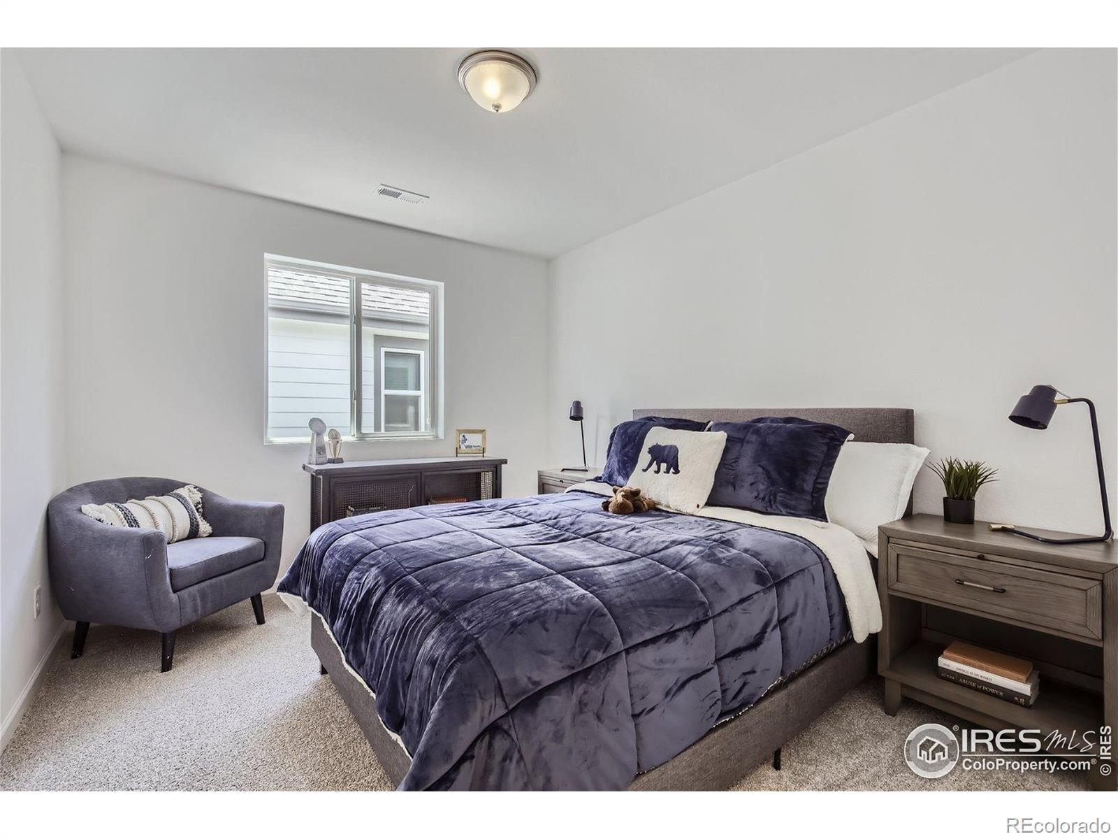 MLS Image #18 for 2302  walbridge road,fort collins, Colorado