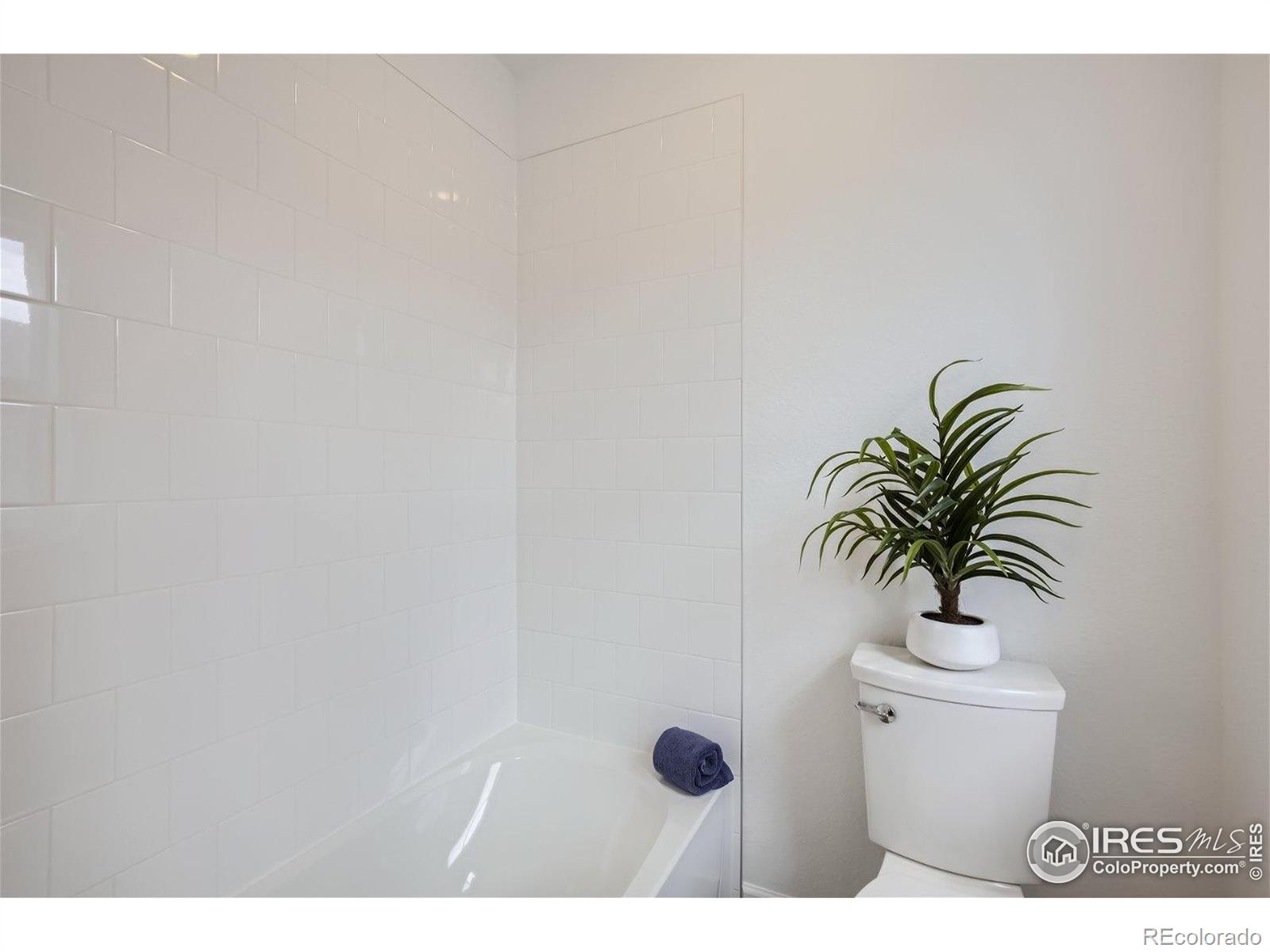 MLS Image #23 for 2302  walbridge road,fort collins, Colorado