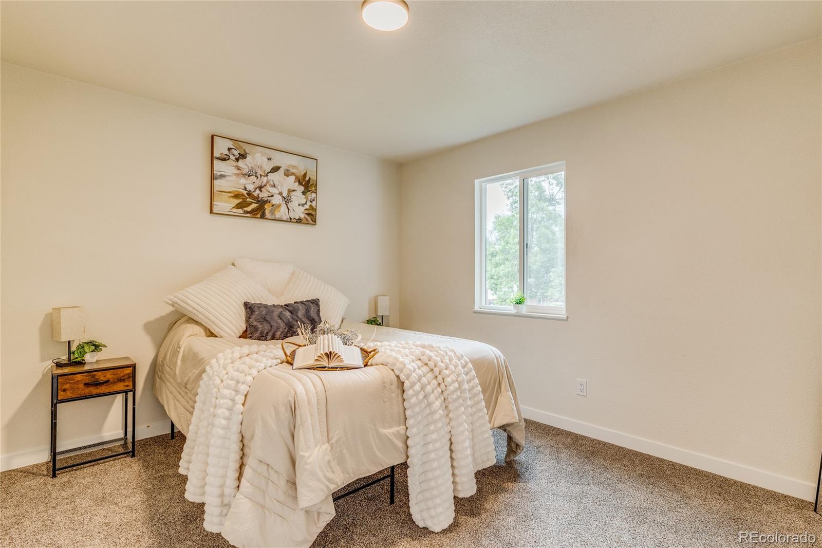 MLS Image #12 for 6870  snead street,colorado springs, Colorado