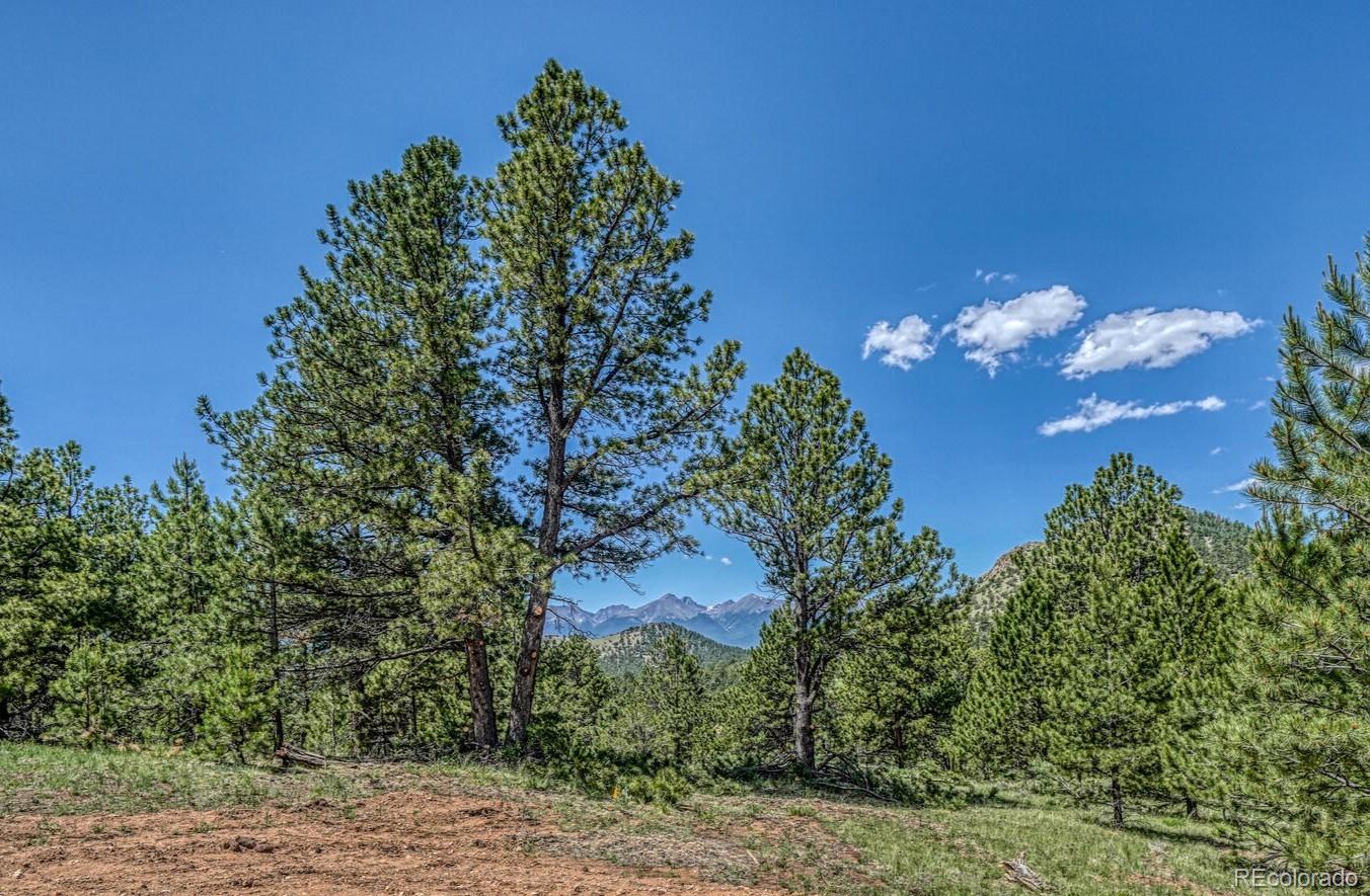 MLS Image #16 for 1341  county road 327 ,westcliffe, Colorado