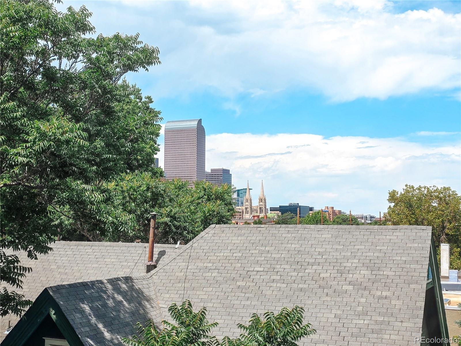 MLS Image #15 for 1125 n washington street,denver, Colorado