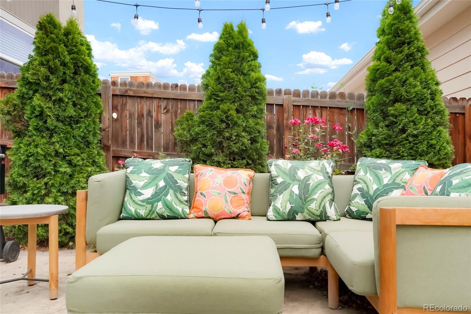 MLS Image #31 for 4414  wolff street,denver, Colorado