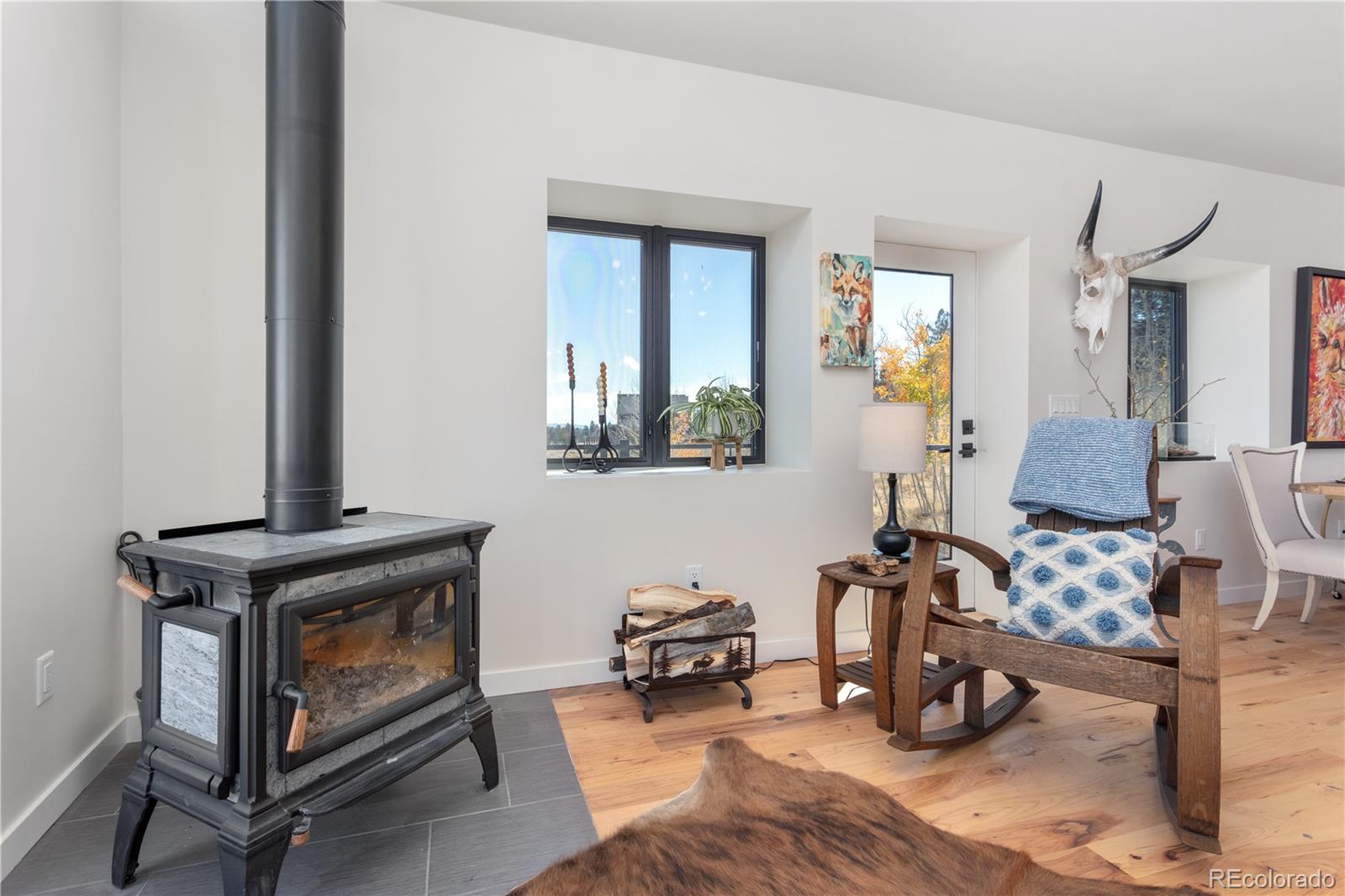 MLS Image #17 for 1505  pitchfork road,hartsel, Colorado