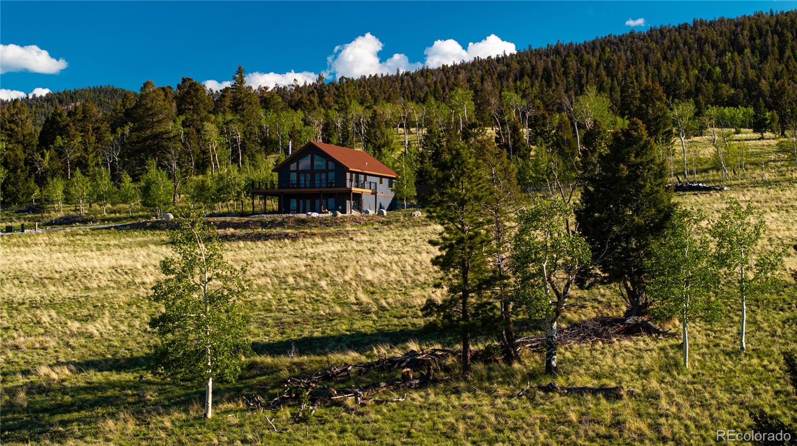 MLS Image #2 for 1505  pitchfork road,hartsel, Colorado