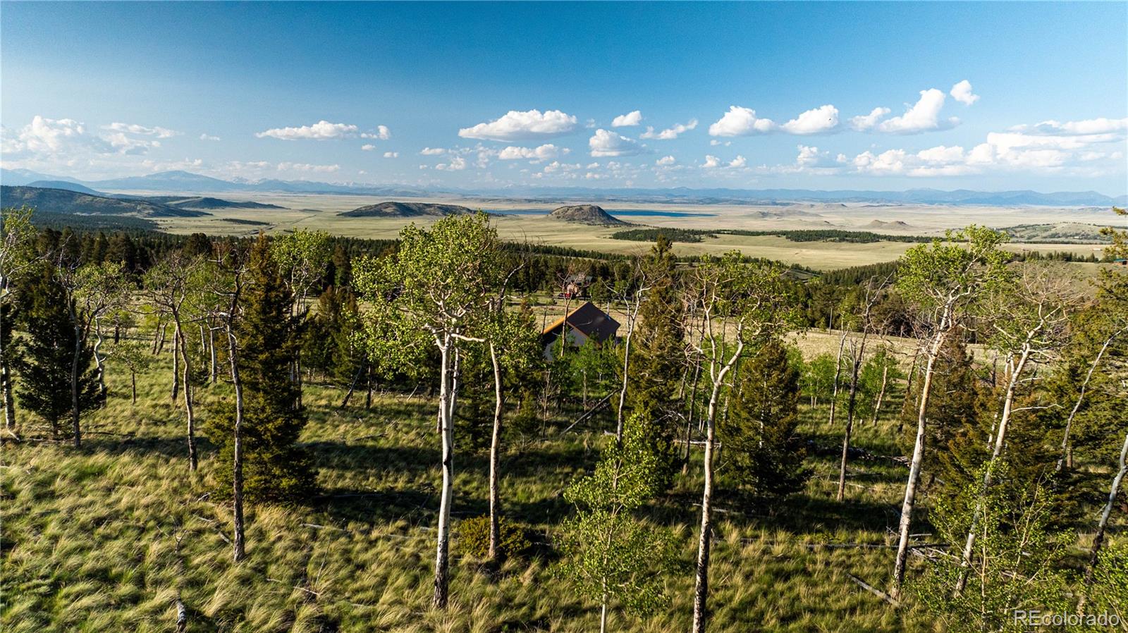 MLS Image #5 for 1505  pitchfork road,hartsel, Colorado