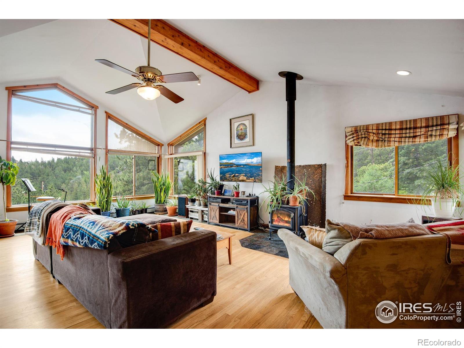 MLS Image #18 for 853  deer trail road,boulder, Colorado