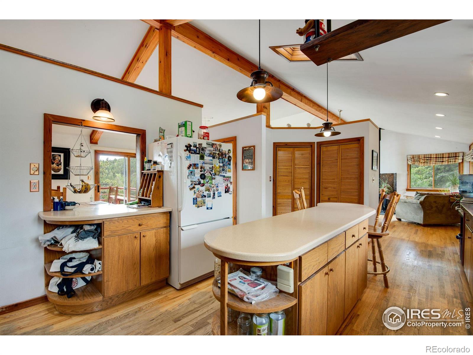 MLS Image #21 for 853  deer trail road,boulder, Colorado