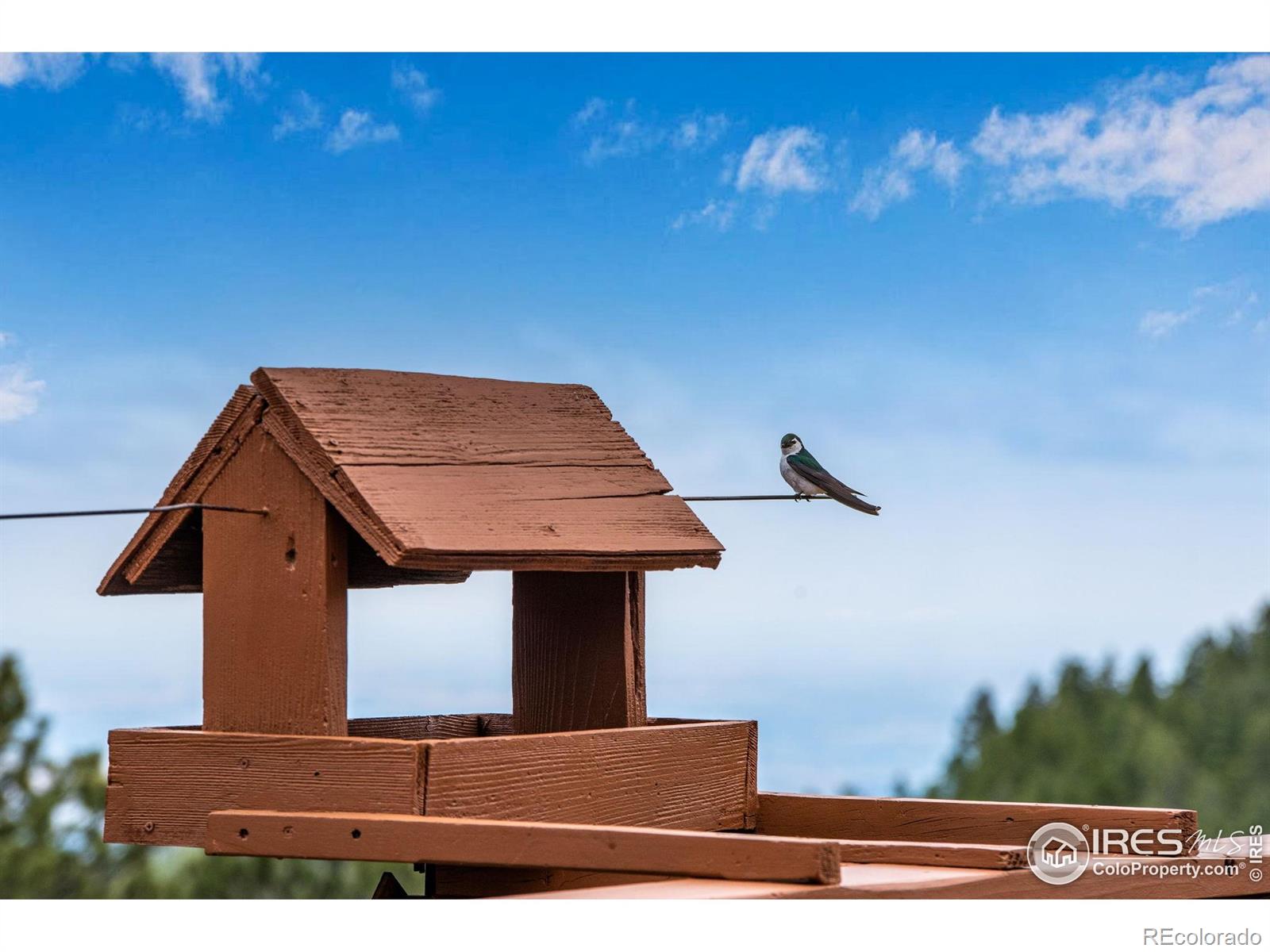 MLS Image #7 for 853  deer trail road,boulder, Colorado