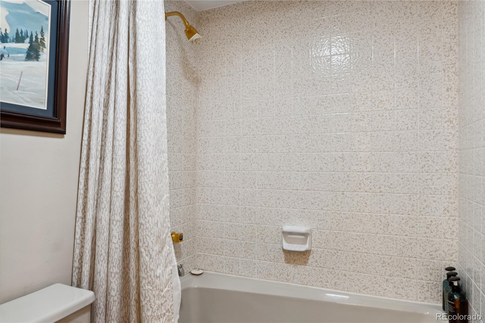 MLS Image #20 for 23177  barbour drive,dillon, Colorado