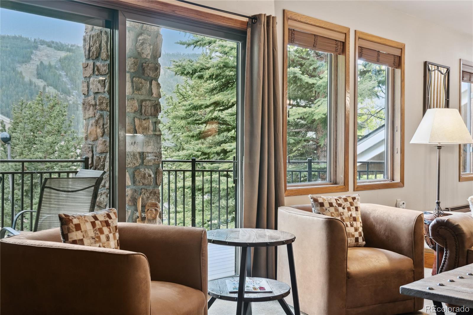 MLS Image #4 for 23177  barbour drive,dillon, Colorado