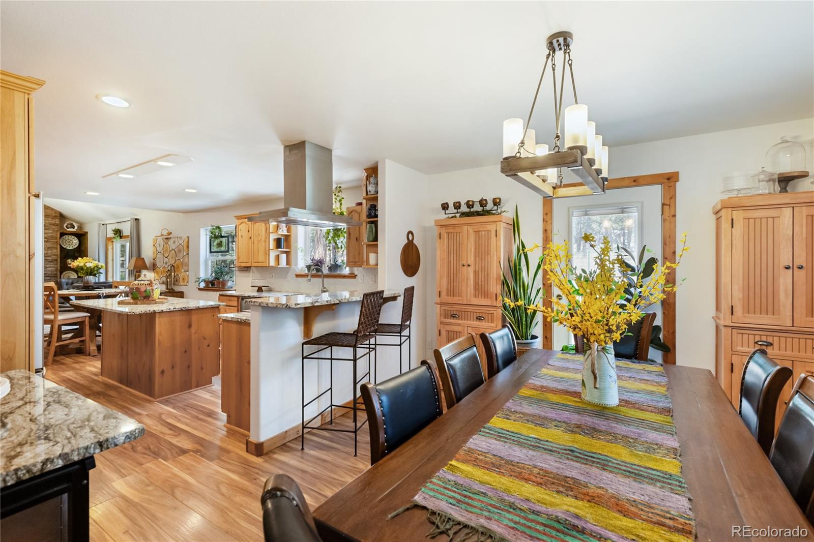MLS Image #4 for 130  paint pony lane,florissant, Colorado