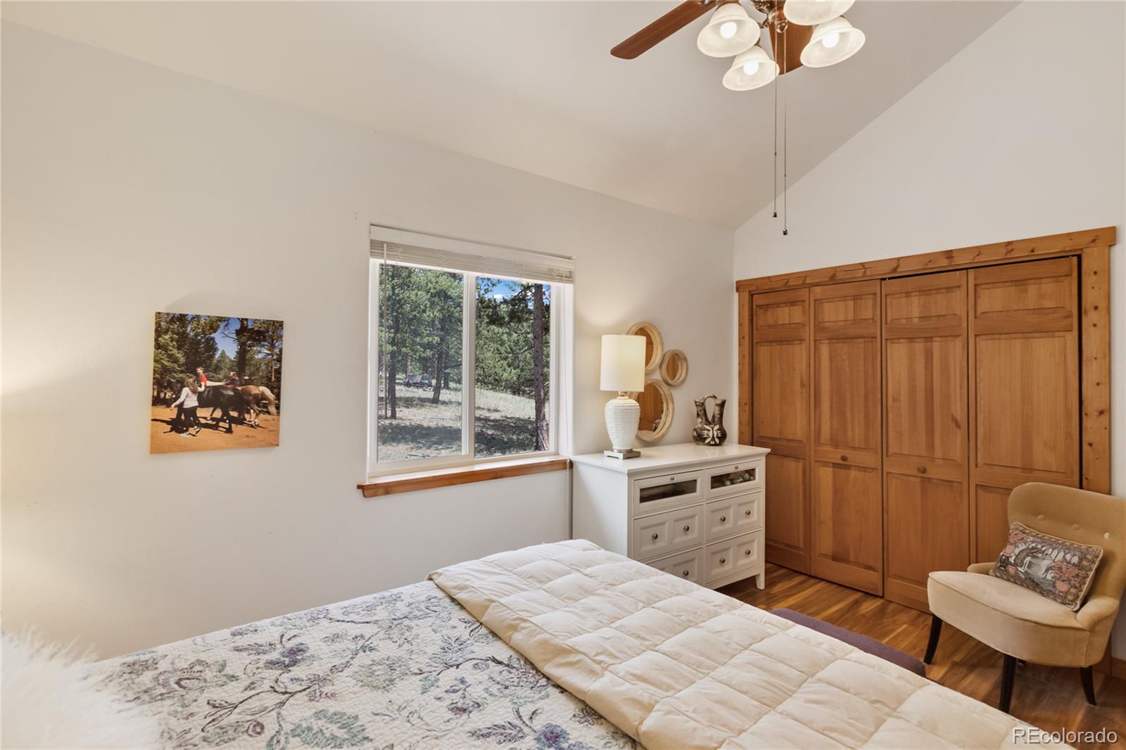 MLS Image #41 for 130  paint pony lane,florissant, Colorado