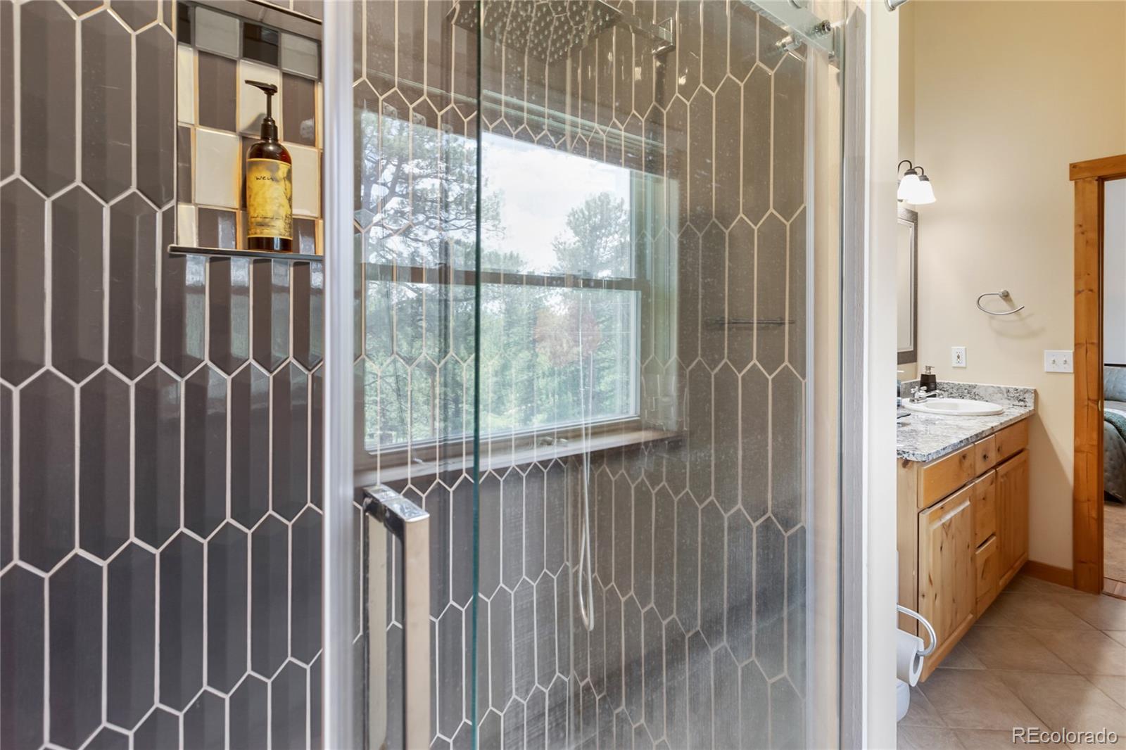 MLS Image #8 for 130  paint pony lane,florissant, Colorado