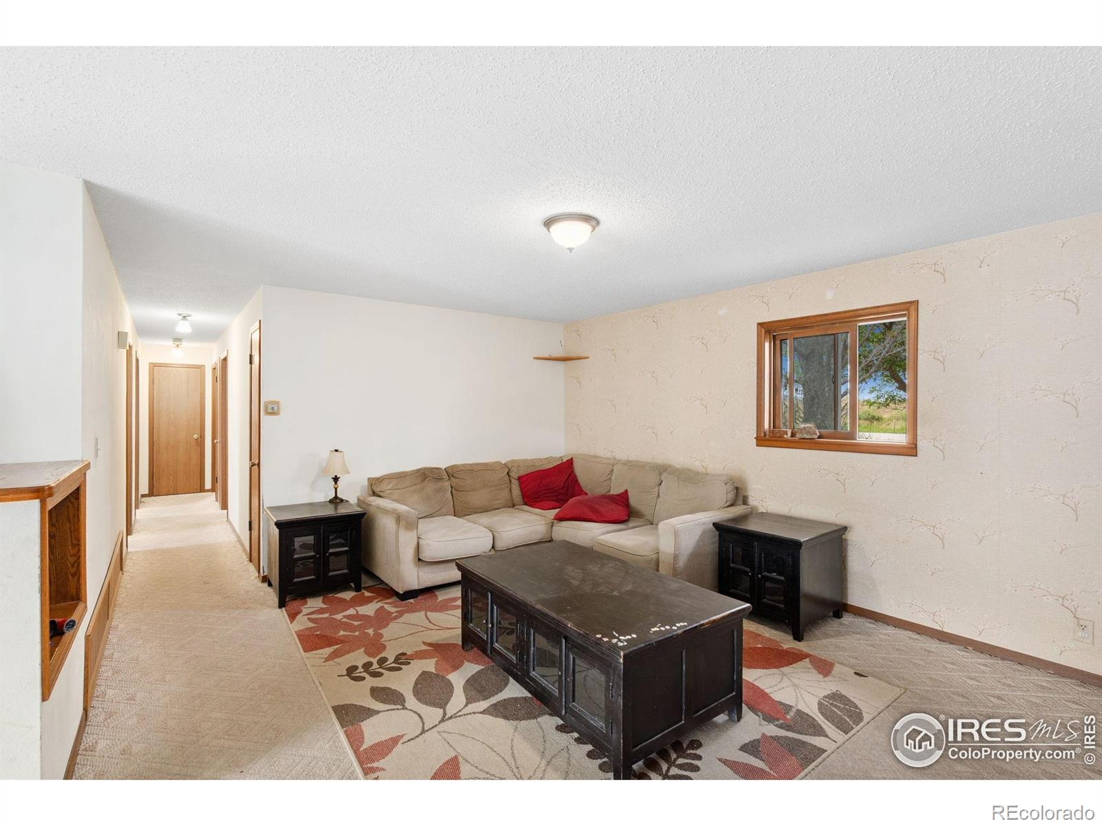 MLS Image #11 for 4109  red fox road,fort collins, Colorado